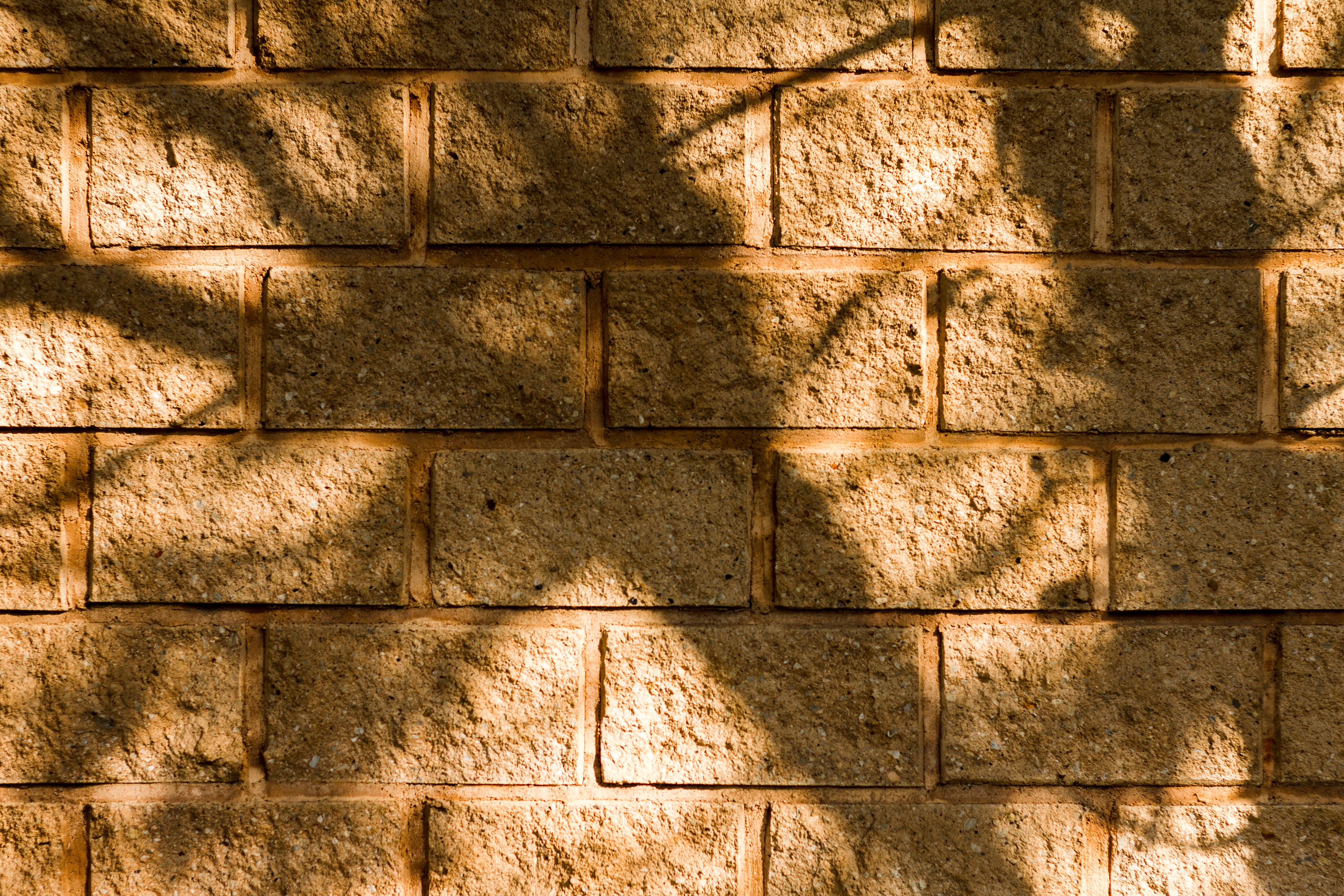 Material Sensibility